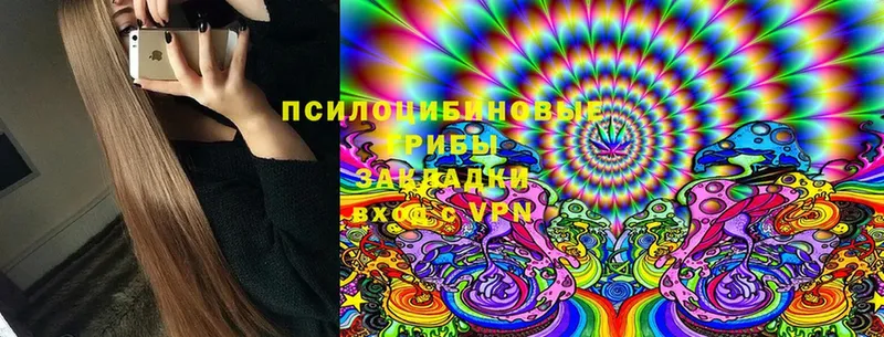 Псилоцибиновые грибы MAGIC MUSHROOMS Рассказово